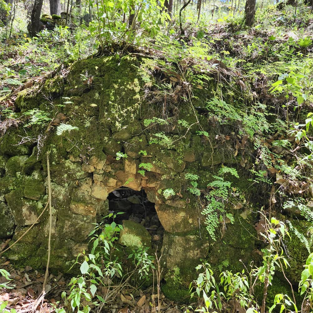 Tradiciones de la raicilla en la sierra de Jalisco