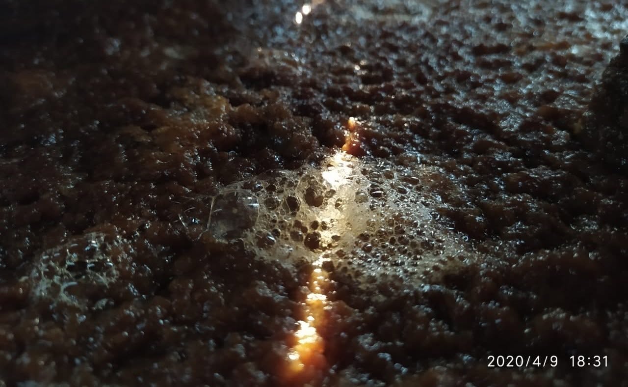 Jugo de agave fermentando en tinas